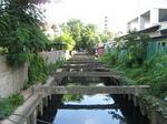 Picture 006.jpg